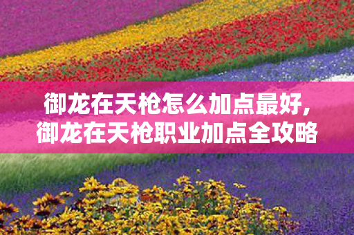 御龙在天枪怎么加点最好,御龙在天枪职业加点全攻略,打造战场冲锋利刃 御龙在天枪怎么加点最好,御龙在天枪职业加点全攻略,打造战场冲锋利刃