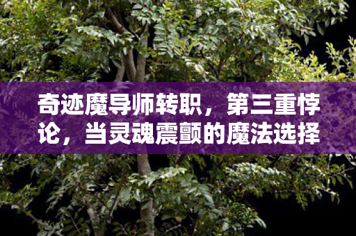 奇迹魔导师转职,第三重悖论,当灵魂震颤的魔法选择,撕裂中年玩家的存在之茧 奇迹魔导师转职,第三重悖论,当灵魂震颤的魔法选择,撕裂中年玩家的存在之茧