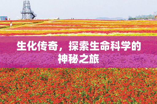 生化传奇,探索生命科学的神秘之旅 生化传奇,探索生命科学的神秘之旅