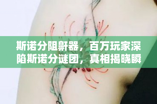 斯诺分阻鼾器,百万玩家深陷斯诺分谜团,真相揭晓瞬间集体破防! 斯诺分阻鼾器,百万玩家深陷斯诺分谜团,真相揭晓瞬间集体破防!