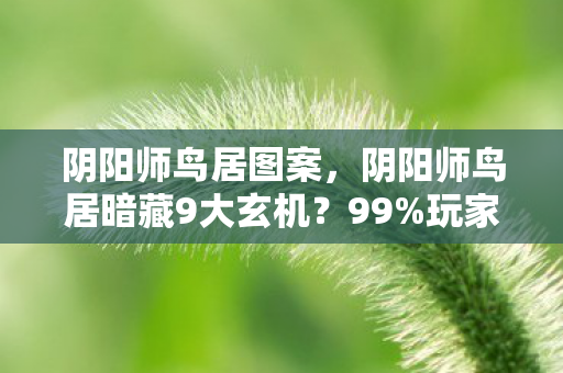 阴阳师鸟居图案,阴阳师鸟居暗藏9大玄机?99%玩家不知的逆天玩法大揭秘! 阴阳师鸟居图案,阴阳师鸟居暗藏9大玄机?99%玩家不知的逆天玩法大揭秘!