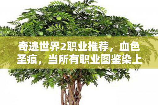 奇迹世界2职业推荐,血色圣痕,当所有职业图鉴染上血色,2027年悬案竟与玩家灵魂共鸣 奇迹世界2职业推荐,血色圣痕,当所有职业图鉴染上血色,2027年悬案竟与玩家灵魂共鸣