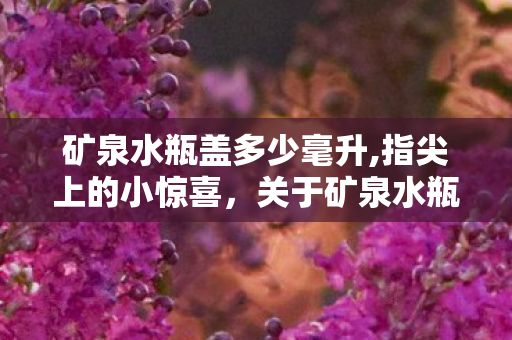 矿泉水瓶盖多少毫升,指尖上的小惊喜，关于矿泉水瓶盖的二三事