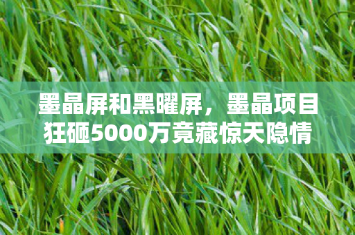 墨晶屏和黑曜屏，墨晶项目狂砸5000万竟藏惊天隐情！离职老兵拍桌，这结果真让人吓一跳！