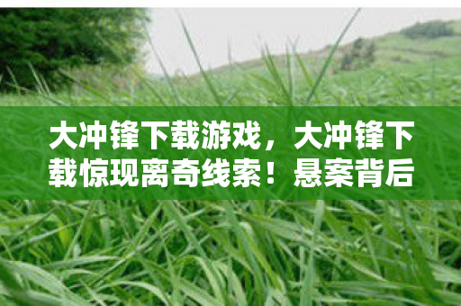大冲锋下载游戏，大冲锋下载惊现离奇线索！悬案背后，毛骨悚然真相等你揭晓