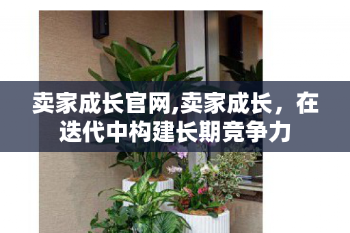 卖家成长官网,卖家成长，在迭代中构建长期竞争力