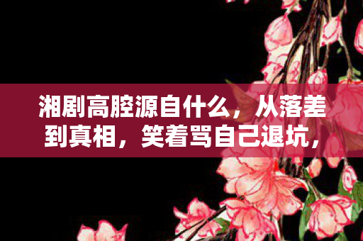 湘剧高腔源自什么，从落差到真相，笑着骂自己退坑，笑着笑着竟哭了湘剧高腔的魂