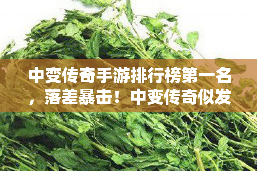 中变传奇手游排行榜第一名,落差暴击!中变传奇似发服网,真相是笑着点开,哭着关掉 中变传奇手游排行榜第一名,落差暴击!中变传奇似发服网,真相是笑着点开,哭着关掉