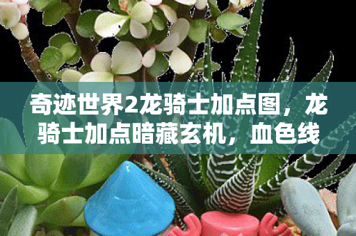 奇迹世界2龙骑士加点图，龙骑士加点暗藏玄机，血色线索下的悬案与毛骨悚然真相