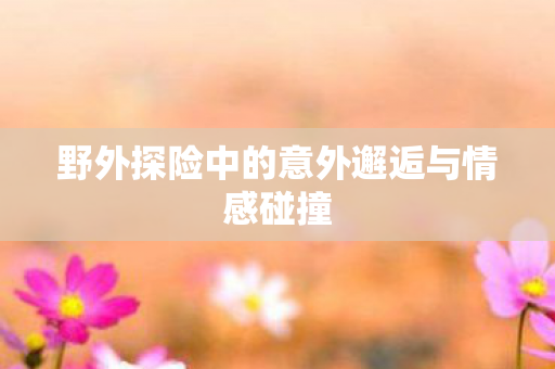 野外探险中的意外邂逅与情感碰撞 野外探险中的意外邂逅与情感碰撞
