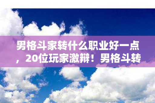 男格斗家转什么职业好一点，20位玩家激辩！男格斗转职迷局，这疑点谁看了都绷不住