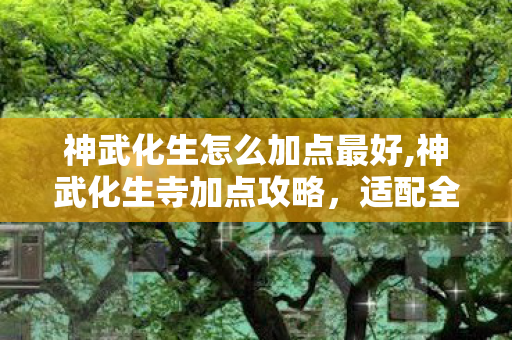 神武化生怎么加点最好,神武化生寺加点攻略,适配全玩法的核心辅助养成指南 神武化生怎么加点最好,神武化生寺加点攻略,适配全玩法的核心辅助养成指南