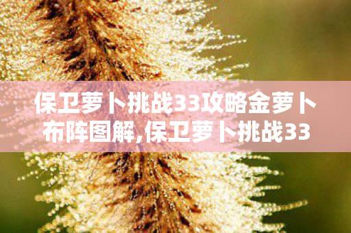 保卫萝卜挑战33攻略金萝卜布阵图解,保卫萝卜挑战33金萝卜通关攻略,高效布阵思路全解析 保卫萝卜挑战33攻略金萝卜布阵图解,保卫萝卜挑战33金萝卜通关攻略,高效布阵思路全解析