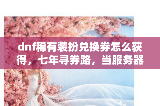 dnf稀有装扮兑换券怎么获得，七年寻券路，当服务器最后一盏灯熄灭时，我们找到了答案