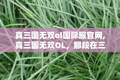 真三国无双ol国际服官网,真三国无双OL，那段在三国沙场里挥戟纵马的热血岁月