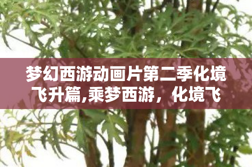 梦幻西游动画片第二季化境飞升篇,乘梦西游,化境飞升——第二季的热血叙事与精神传承 梦幻西游动画片第二季化境飞升篇,乘梦西游,化境飞升——第二季的热血叙事与精神传承