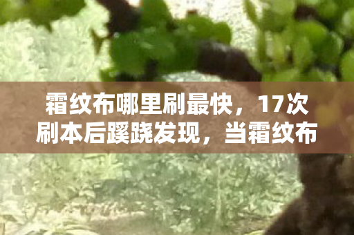 霜纹布哪里刷最快，17次刷本后蹊跷发现，当霜纹布消失时，我的后背开始发凉