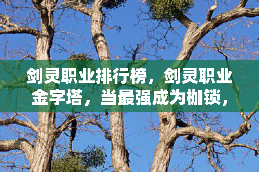 剑灵职业排行榜,剑灵职业金字塔,当最强成为枷锁,自由选择竟是灵魂震颤的悖论 剑灵职业排行榜,剑灵职业金字塔,当最强成为枷锁,自由选择竟是灵魂震颤的悖论