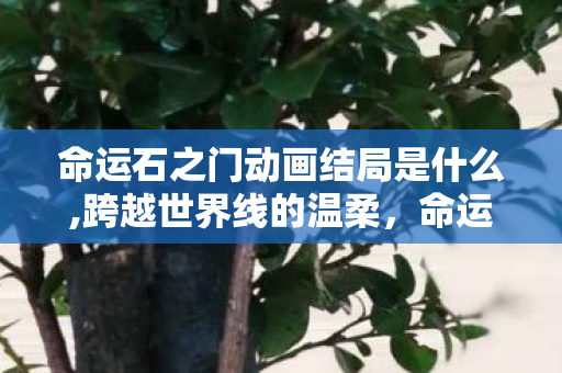 命运石之门动画结局是什么,跨越世界线的温柔,命运石之门动画结局的余韵 命运石之门动画结局是什么,跨越世界线的温柔,命运石之门动画结局的余韵