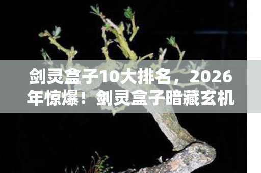 剑灵盒子10大排名,2026年惊爆!剑灵盒子暗藏玄机,玩家命运将何去何从? 剑灵盒子10大排名,2026年惊爆!剑灵盒子暗藏玄机,玩家命运将何去何从?