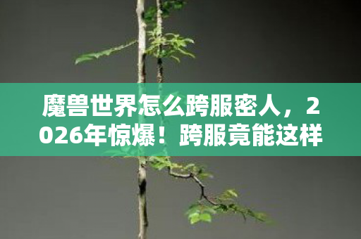 魔兽世界怎么跨服密人，2026年惊爆！跨服竟能这样玩？魔兽玩家集体沸腾了！