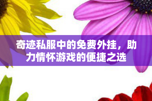 奇迹私服中的免费外挂，助力情怀游戏的便捷之选