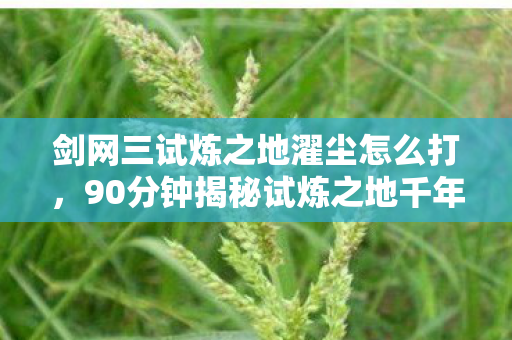 剑网三试炼之地濯尘怎么打，90分钟揭秘试炼之地千年谜面，玩家泪目，这竟是最后的狂欢？