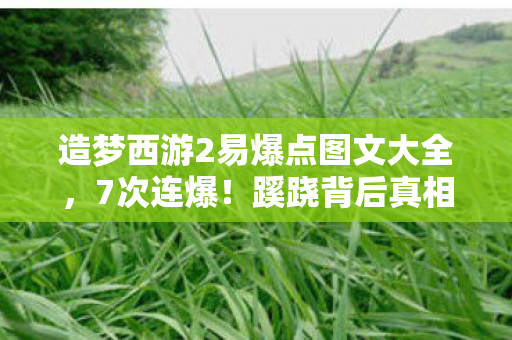 造梦西游2易爆点图文大全,7次连爆!蹊跷背后真相竟让人后背发凉 造梦西游2易爆点图文大全,7次连爆!蹊跷背后真相竟让人后背发凉