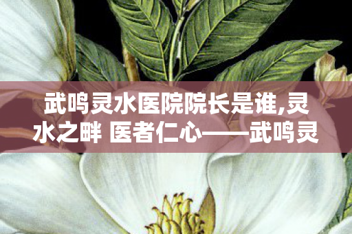 武鸣灵水医院院长是谁,灵水之畔 医者仁心——武鸣灵水医院的温暖守护 武鸣灵水医院院长是谁,灵水之畔 医者仁心——武鸣灵水医院的温暖守护