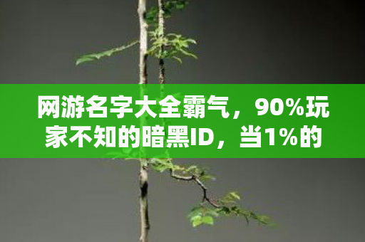 网游名字大全霸气,90%玩家不知的暗黑ID,当1%的孤独成为通关密钥,你还在狂刷存在感? 网游名字大全霸气,90%玩家不知的暗黑ID,当1%的孤独成为通关密钥,你还在狂刷存在感?