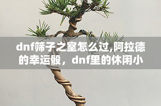 dnf筛子之室怎么过,阿拉德的幸运骰,dnf里的休闲小确幸 dnf筛子之室怎么过,阿拉德的幸运骰,dnf里的休闲小确幸