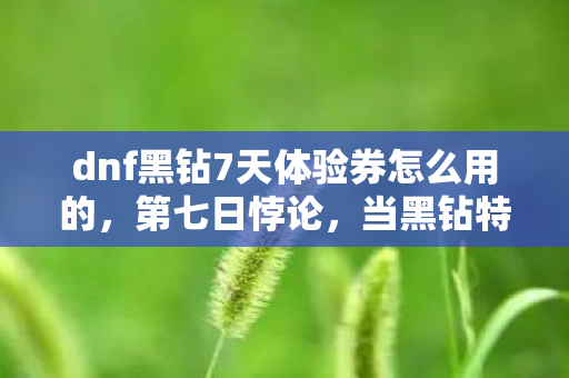 dnf黑钻7天体验券怎么用的,第七日悖论,当黑钻特权成为囚禁自由的镣铐,你还要按下启动键吗? dnf黑钻7天体验券怎么用的,第七日悖论,当黑钻特权成为囚禁自由的镣铐,你还要按下启动键吗?