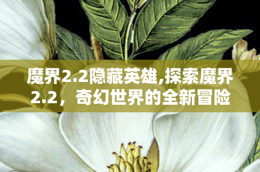 魔界2.2隐藏英雄,探索魔界2.2,奇幻世界的全新冒险篇章 魔界2.2隐藏英雄,探索魔界2.2,奇幻世界的全新冒险篇章