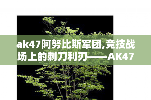 ak47阿努比斯军团,竞技战场上的刺刀利刃——AK47-A的不灭传奇 ak47阿努比斯军团,竞技战场上的刺刀利刃——AK47-A的不灭传奇