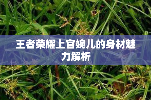 王者荣耀上官婉儿的身材魅力解析 王者荣耀上官婉儿的身材魅力解析