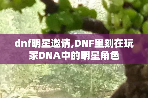 dnf明星邀请,DNF里刻在玩家DNA中的明星角色 dnf明星邀请,DNF里刻在玩家DNA中的明星角色