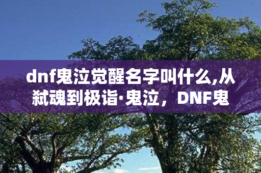 dnf鬼泣觉醒名字叫什么,从弑魂到极诣·鬼泣,DNF鬼泣觉醒名字里的职业成长密码 dnf鬼泣觉醒名字叫什么,从弑魂到极诣·鬼泣,DNF鬼泣觉醒名字里的职业成长密码