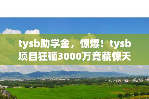 tysb助学金,惊爆!tysb项目狂砸3000万竟藏惊天隐情,结果让人吓一跳! tysb助学金,惊爆!tysb项目狂砸3000万竟藏惊天隐情,结果让人吓一跳!