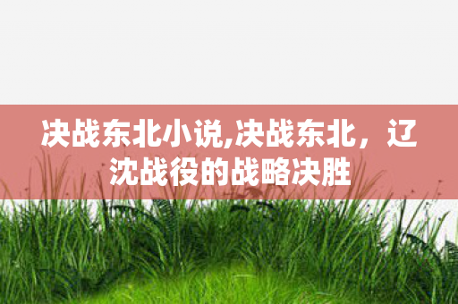 决战东北小说,决战东北,辽沈战役的战略决胜 决战东北小说,决战东北,辽沈战役的战略决胜