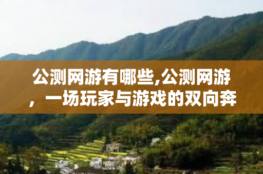 公测网游有哪些,公测网游,一场玩家与游戏的双向奔赴 公测网游有哪些,公测网游,一场玩家与游戏的双向奔赴