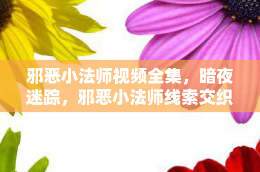 邪恶小法师视频全集，暗夜迷踪，邪恶小法师线索交织成悬案，真相背后毛骨悚然