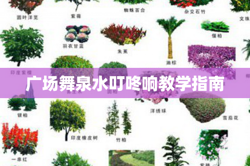 广场舞泉水叮咚响教学指南 广场舞泉水叮咚响教学指南
