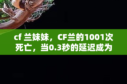 cf 兰妹妹,CF兰的1001次死亡,当0.3秒的延迟成为生死判词,谁在操控我们的枪口? cf 兰妹妹,CF兰的1001次死亡,当0.3秒的延迟成为生死判词,谁在操控我们的枪口?