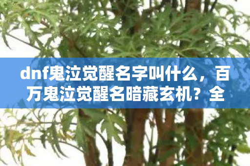 dnf鬼泣觉醒名字叫什么,百万鬼泣觉醒名暗藏玄机?全服玩家集体破防真相竟是…… dnf鬼泣觉醒名字叫什么,百万鬼泣觉醒名暗藏玄机?全服玩家集体破防真相竟是……