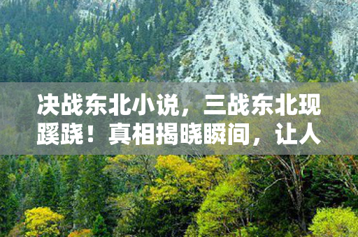 决战东北小说,三战东北现蹊跷!真相揭晓瞬间,让人后背发凉直呼不可能 决战东北小说,三战东北现蹊跷!真相揭晓瞬间,让人后背发凉直呼不可能
