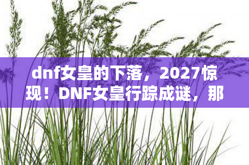 dnf女皇的下落，2027惊现！DNF女皇行踪成谜，那些深夜的等你让我鼻子一酸