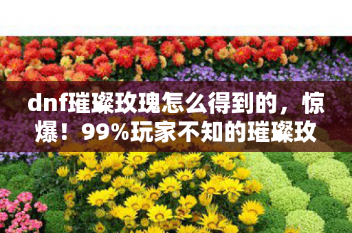dnf璀璨玫瑰怎么得到的,惊爆!99%玩家不知的璀璨玫瑰获取秘径,错过再等十年! dnf璀璨玫瑰怎么得到的,惊爆!99%玩家不知的璀璨玫瑰获取秘径,错过再等十年!