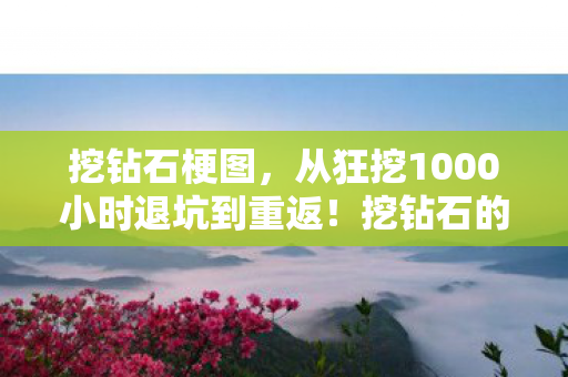 挖钻石梗图，从狂挖1000小时退坑到重返！挖钻石的360°反转人生太上头！