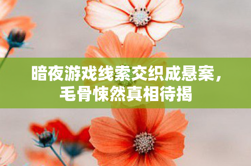 暗夜游戏线索交织成悬案，毛骨悚然真相待揭