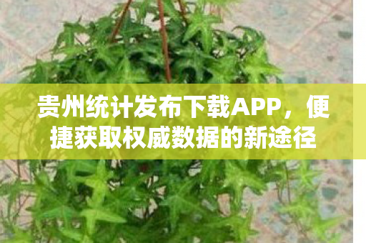 贵州统计发布下载APP,便捷获取权威数据的新途径 贵州统计发布下载APP,便捷获取权威数据的新途径